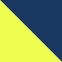 Navy/Yellow