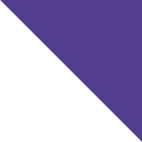 Purple/white