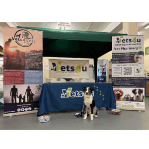 Roller Banner (850mm x 2000mm)